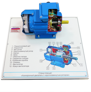 Стенд-планшет «Асинхронный двигатель с короткозамкнутым ротором» - fgospostavki.ru - Хабаровск