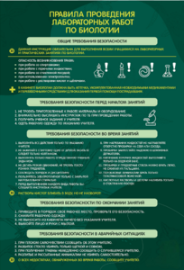Стенд "Правила выполнения лабораторных работ по биологии" Вариант 1 - fgospostavki.ru - Хабаровск