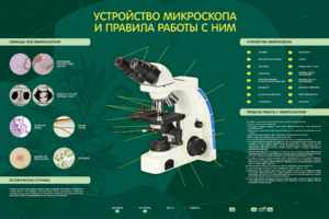 Электрифицированный стенд "Устройство микроскопа и правила работы c ним" - fgospostavki.ru - Хабаровск