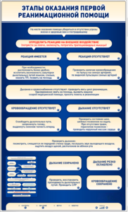 Электрифицированный стенд-тренажер "Этапы оказания первой реанимационной помощи" - fgospostavki.ru - Хабаровск