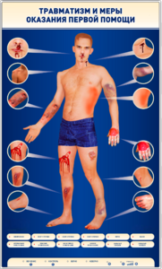 Электрифицированный стенд-тренажер "Травматизм и меры оказания первой помощи" - fgospostavki.ru - Хабаровск