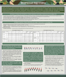Стенд "Физическая подготовка" - fgospostavki.ru - Хабаровск