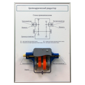 Плакат планшет с демонстрационной моделью «Цилиндрический редуктор» - fgospostavki.ru - Хабаровск