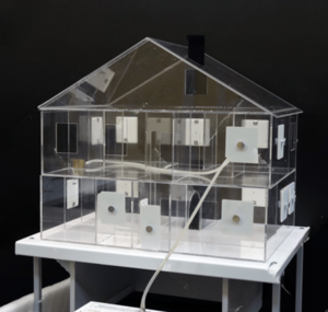 Лабораторная установка для исследования распространения дыма в жилых помещениях - fgospostavki.ru - Хабаровск