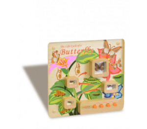 Панель «Жизненный цикл бабочки» - fgospostavki.ru - Хабаровск