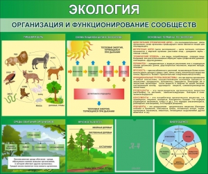 Стенд "Экология. Организация и функционирование сообществ" - fgospostavki.ru - Хабаровск