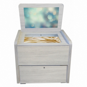 Сундучок логопеда "Антошка" (песочница, игры, материалы) - fgospostavki.ru - Хабаровск