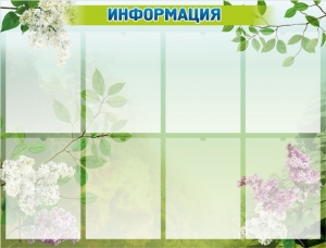 Стенд "Информация" Вариант 13 - fgospostavki.ru - Хабаровск