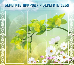 Стенд "Берегите природу - берегите себя" - fgospostavki.ru - Хабаровск