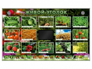 Комплект оборудования "Живой уголок" (растения) - fgospostavki.ru - Хабаровск