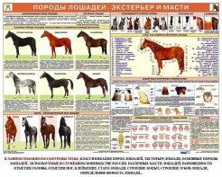 Комплект плакатов "Служебное коневодство" - fgospostavki.ru - Хабаровск