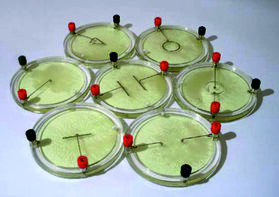 Демонстрационный комплект «Силовые линии электрического поля разных систем зарядов» - fgospostavki.ru - Хабаровск