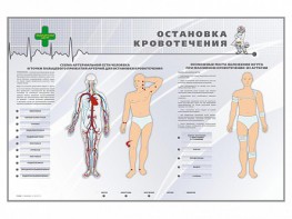 Электрифицированный стенд "Остановка кровотечения" - fgospostavki.ru - Хабаровск