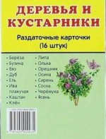 Раздаточные карточки "Деревья и кустарники" - fgospostavki.ru - Хабаровск