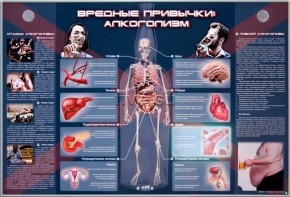 Электрифицированный стенд "Вредные привычки: алкоголизм" - fgospostavki.ru - Хабаровск
