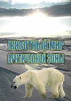 DVD "Животный мир Арктической зоны" - fgospostavki.ru - Хабаровск