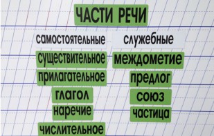 Набор магнитных карточек "Части речи" (фон зелёный) - fgospostavki.ru - Хабаровск