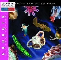 Биология. Микрофотографии. (Цифровая база изображений) - fgospostavki.ru - Хабаровск