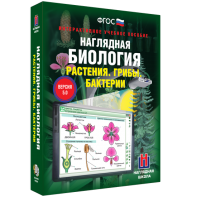 Наглядная биология. 6 класс. Растения. Грибы. Бактерии - fgospostavki.ru - Хабаровск