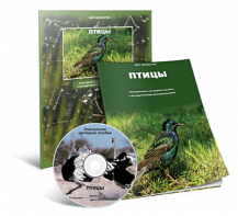 Электронное наглядное пособие «Птицы» - fgospostavki.ru - Хабаровск