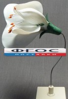 Модель "Цветок гороха" - fgospostavki.ru - Хабаровск