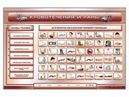 Трехсекционный базовый комплект "Травмы. Кровотечения. Ожоги" для учащихся общеобразовательных учреждений - fgospostavki.ru - Хабаровск