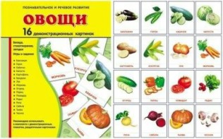 Демонстрационные карточки "Овощи" - fgospostavki.ru - Хабаровск