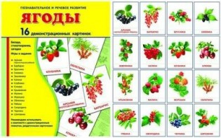 Демонстрационные карточки "Ягоды" - fgospostavki.ru - Хабаровск