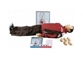 "Максим III-01" тренажер сердечно-легочной и мозговой реанимации - fgospostavki.ru - Хабаровск