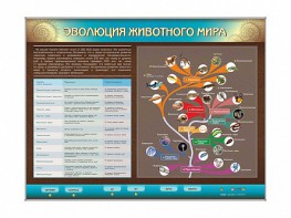 Интерактивный электрифицированный стенд "Эволюция животного мира" - fgospostavki.ru - Хабаровск