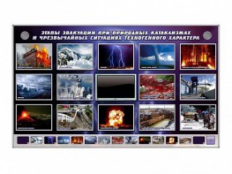 Многофункциональный интерактивный стенд-тренажер "Этапы эвакуации при природных катаклизмах и чрезвычайных ситуациях техногенного характера" - fgospostavki.ru - Хабаровск