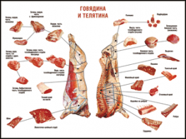 Таблица "Правила разделки мясных туш. Говядина и телятина" (100х140 сантиметров, винил) - fgospostavki.ru - Хабаровск
