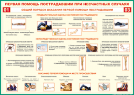 Таблица "Общий порядок оказания первой помощи пострадавшим" (100х140 сантиметров, винил) - fgospostavki.ru - Хабаровск
