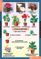 Комплект таблиц. Окружающий мир 1 класс. - fgospostavki.ru - Хабаровск