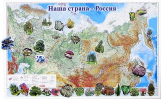 Магнитные карточки "Растения" - fgospostavki.ru - Хабаровск