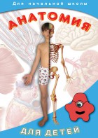 DVD "Анатомия для детей" - fgospostavki.ru - Хабаровск