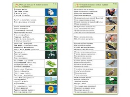 Комплект карточек (10) "Обучающий калейдоскоп. Природа" - fgospostavki.ru - Хабаровск