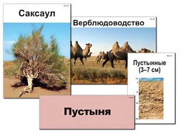 Модель-аппликация "Природные зоны России" (ламинированная) - fgospostavki.ru - Хабаровск