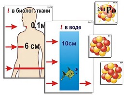 Модель-аппликация "Явление радиоактивности" (ламинированная) - fgospostavki.ru - Хабаровск