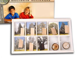 Коллекция "Древесные растения и их распространение" (раздаточная) - fgospostavki.ru - Хабаровск