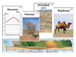 Модель-аппликация "Природные зоны" - fgospostavki.ru - Хабаровск