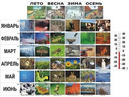 Фенологические наблюдения - fgospostavki.ru - Хабаровск