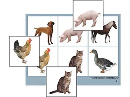 Логопедическое лото "Домашние животные" (4 планшета, 24 карточки, цветное, ламинированное) - fgospostavki.ru - Хабаровск