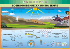 Таблица "Возникновение жизни на земле" (100х140 сантиметров, винил) - fgospostavki.ru - Хабаровск