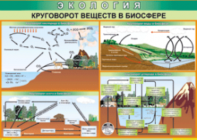 Таблица "Круговорот веществ в биосфере" (100х140 сантиметров, винил) - fgospostavki.ru - Хабаровск