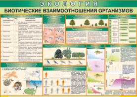 Таблица "Биотические взаимоотношения организмов" (100х140 сантиметров, винил) - fgospostavki.ru - Хабаровск