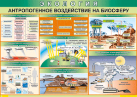 Таблица "Антропогенное воздействие на биосферу" (100х140 сантиметров, винил) - fgospostavki.ru - Хабаровск
