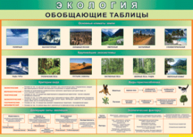 Таблица "Экология. Обобщающие таблицы" (100х140 сантиметров, винил) - fgospostavki.ru - Хабаровск