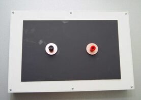 Сменная панель «Исследование характеристик диэлектриков» - fgospostavki.ru - Хабаровск