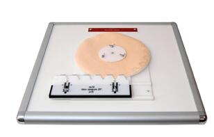 Комплекс "Изучение зубьев" - fgospostavki.ru - Хабаровск